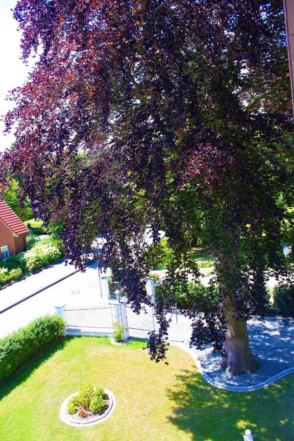 Rosen Villa Kappeln Εξωτερικό φωτογραφία